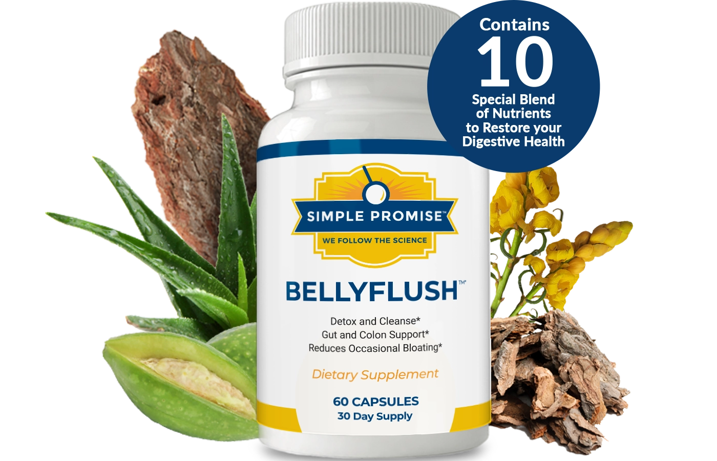 BellyFlush banner image